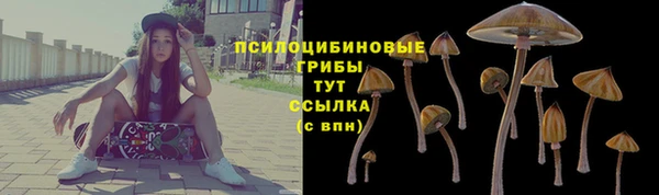 СК Беломорск