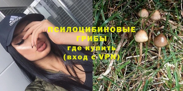 СК Беломорск