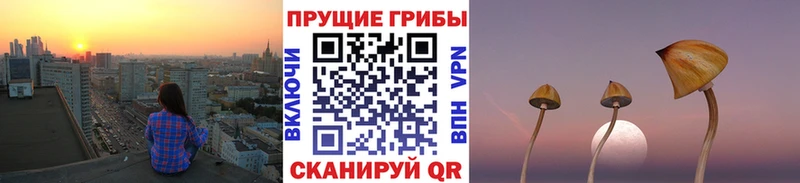 Галлюциногенные грибы прущие грибы  цены   Гатчина 