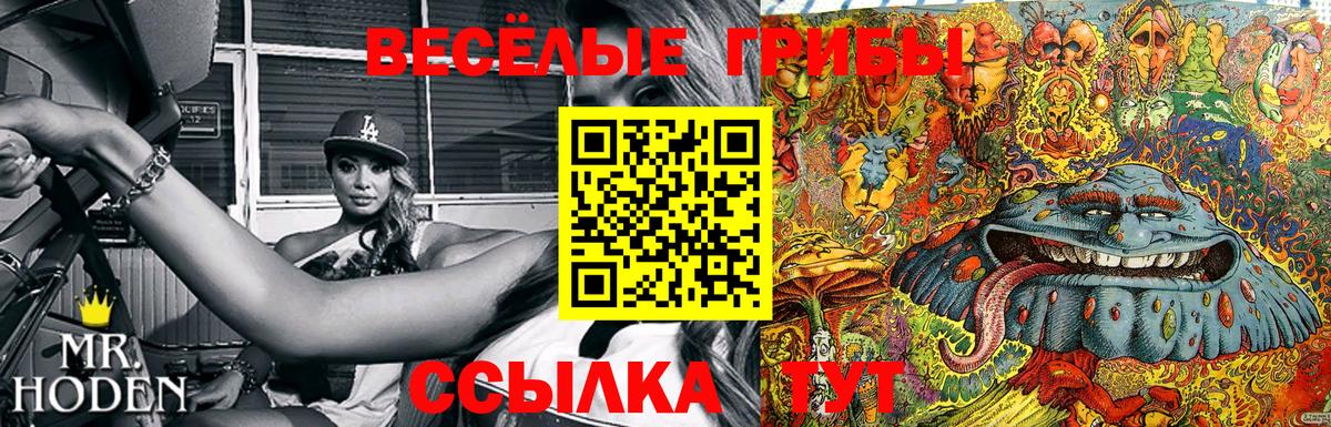 Галлюциногенные грибы Magic Shrooms Гатчина