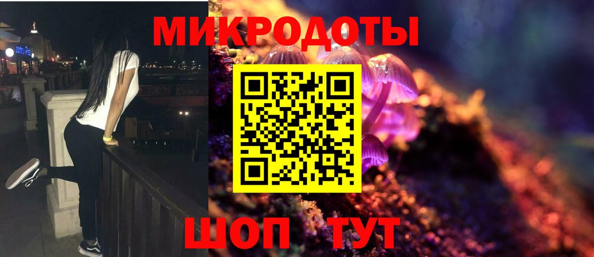Галлюциногенные грибы Cubensis  Вход с VPN  Гатчина 